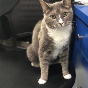 Meet your Posher, Maria